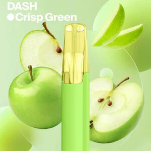 Snowplus DASH 4000Puffs 獨家持味黑科技 全程不掉味7.5ml 大容量持久不乾燒 3% 頂級丁鹽順滑入喉
